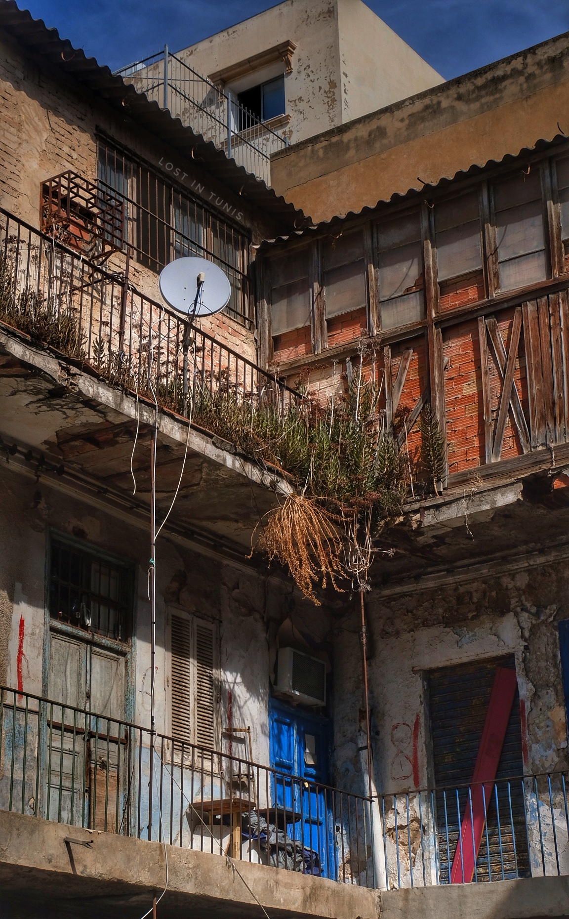 Cité Gabison Lost in Tunis